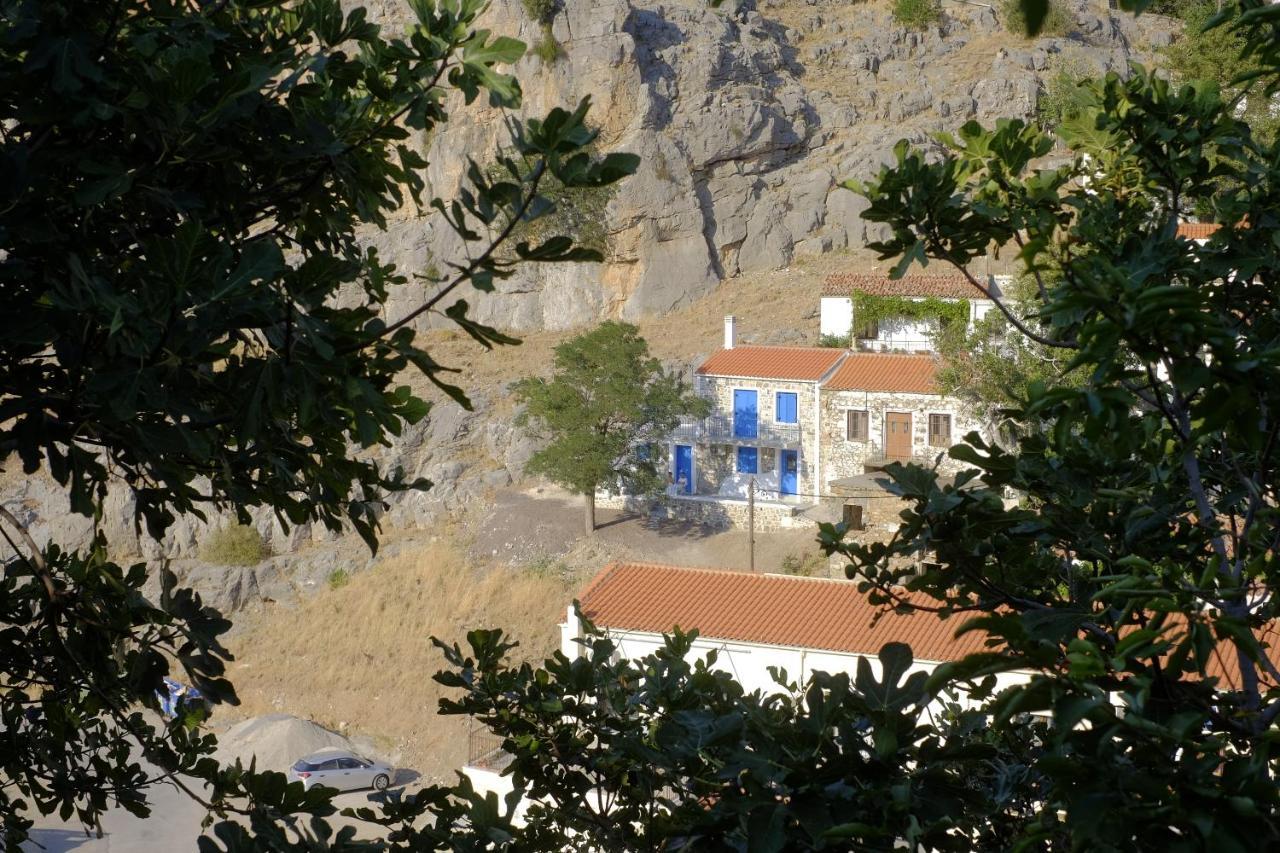 Villa Aleka Samothráki エクステリア 写真